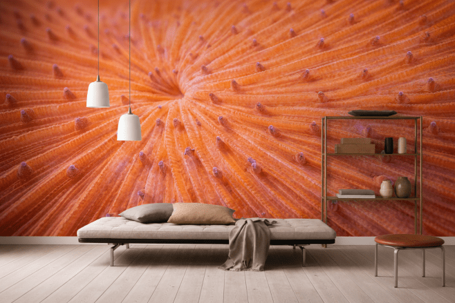 Oceanic Sunrise Burst