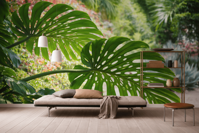 Monstera Mirage
