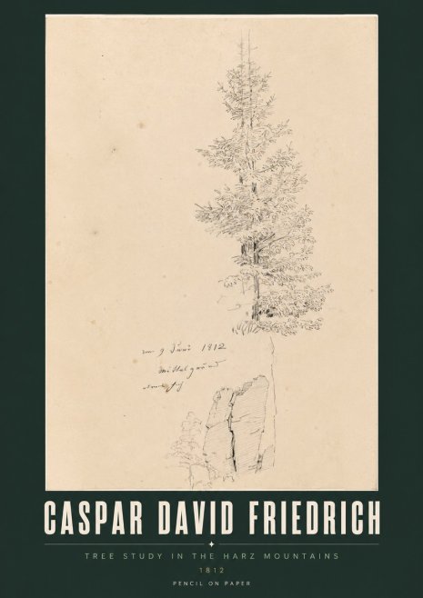Caspar David Friedrich Tree Study in the Harz Mountains No2 - Plakat