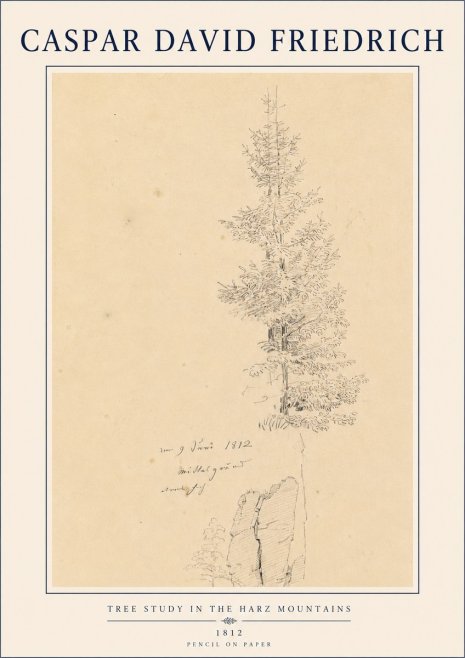 Caspar David Friedrich Tree Study in the Harz Mountains No4 - Plakat