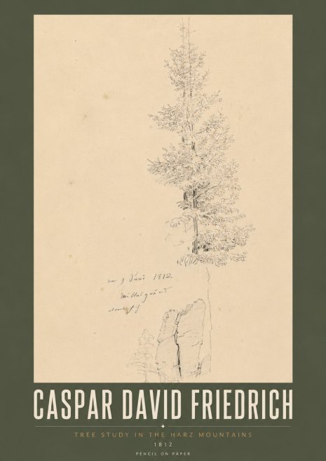 Caspar David Friedrich Tree Study in the Harz Mountains No5 - Plakat