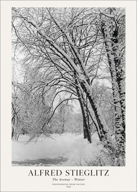 Alfred Stieglitz The Avenue – Winter No1 - Plakat