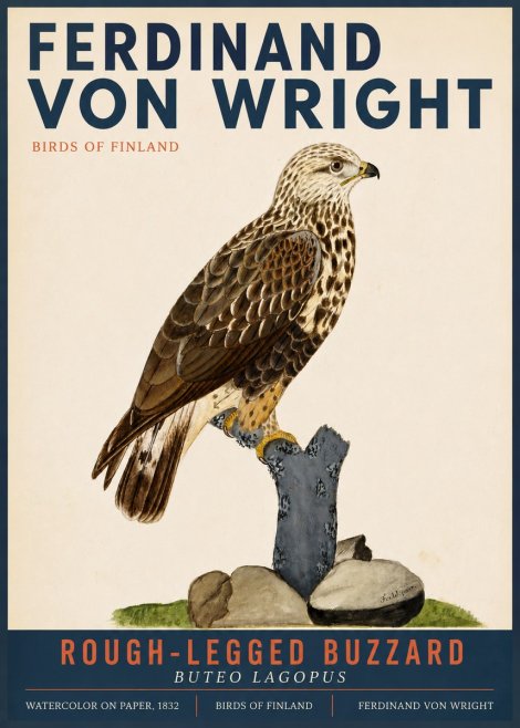 Ferdinand von Wright Rough-legged Buzzard No3 - Plakat