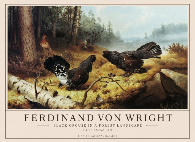 Ferdinand von Wright Black Grouse in a Forest Landscape No1 - Plakat