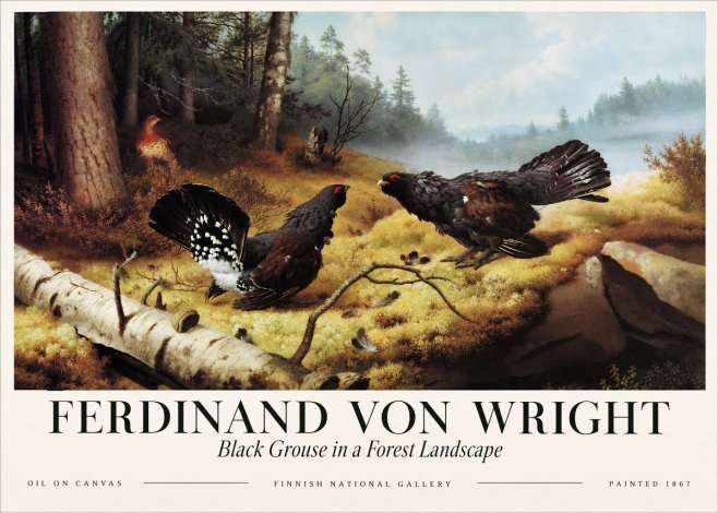 Ferdinand von Wright Black Grouse in a Forest Landscape No3 - Plakat