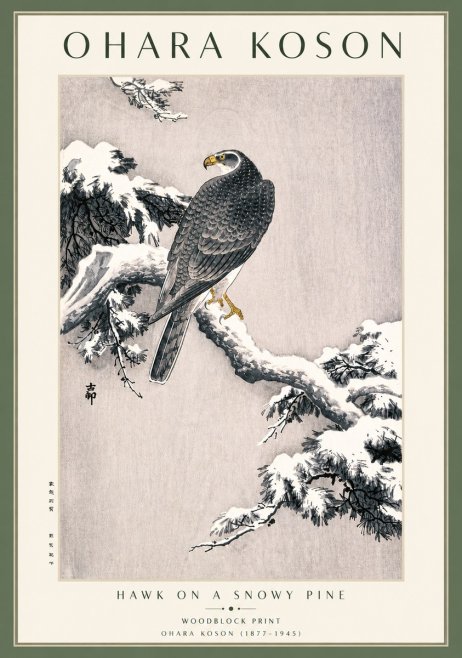 Ohara Koson Hawk on a Snowy Pine No3 - Plakat