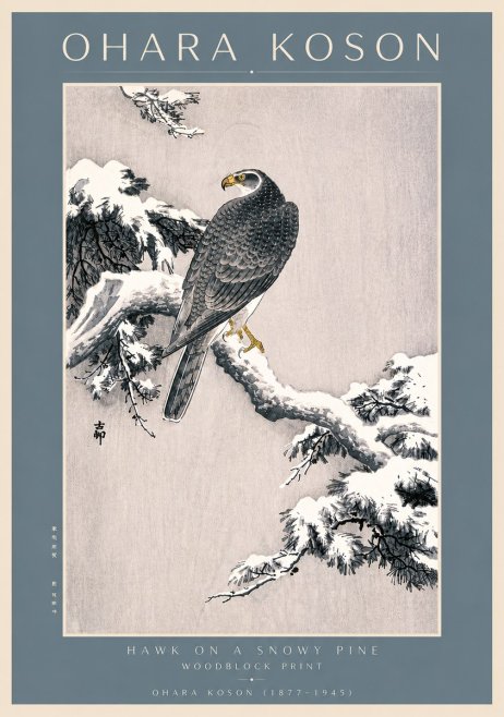 Ohara Koson Hawk on a Snowy Pine No4 - Plakat