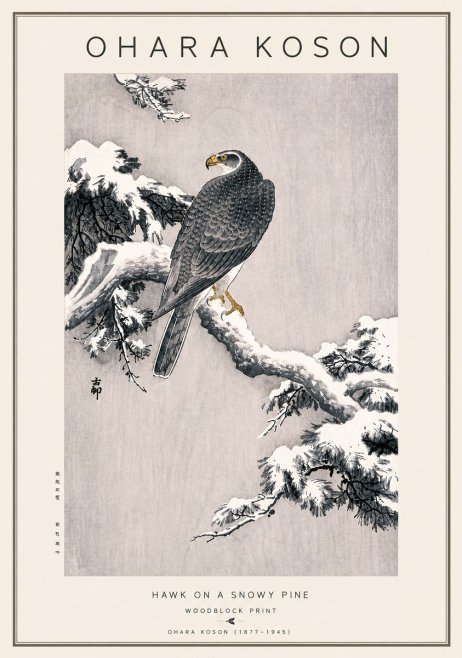 Ohara Koson Hawk on a Snowy Pine No5 - Plakat