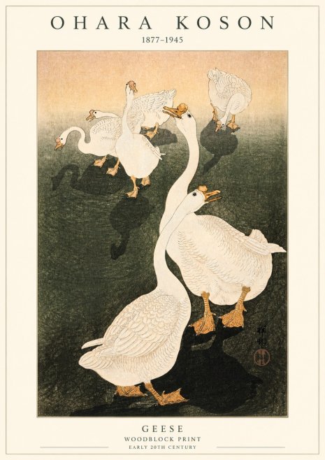 Ohara Koson Geese No1 - Plakat