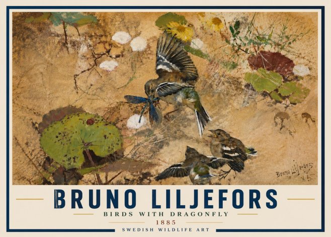 Bruno Liljefors Birds with Dragonfly No6 - Plakat