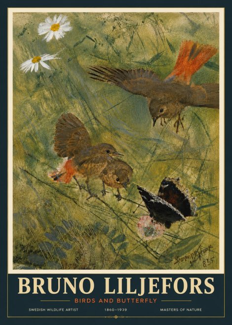 Bruno Liljefors Birds and Butterfly No6 - Plakat