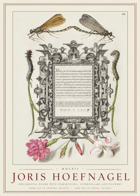 Joris Hoefnagel Ornamental Frame with Damselflies, Caterpillars and Flowers No1 - Plakat