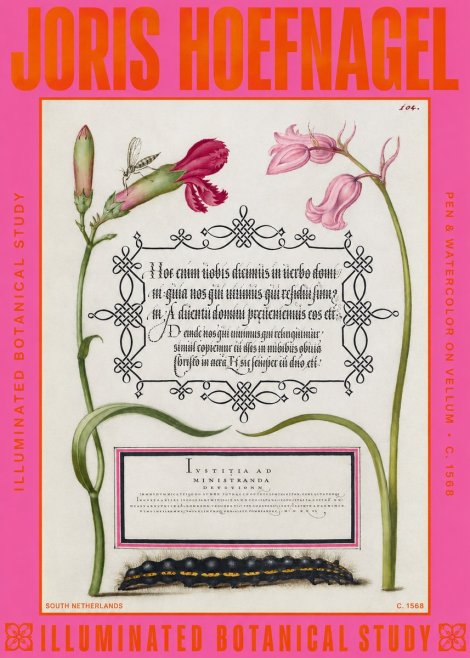 Joris Hoefnagel Floral Study with Insect and Caterpillar No6 - Plakat