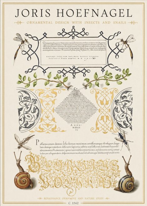 Joris Hoefnagel Memento Mori No2 - Plakat