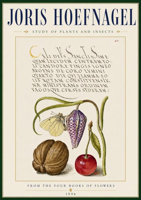 Joris Hoefnagel Study of Plants and Insects No5 - Plakat
