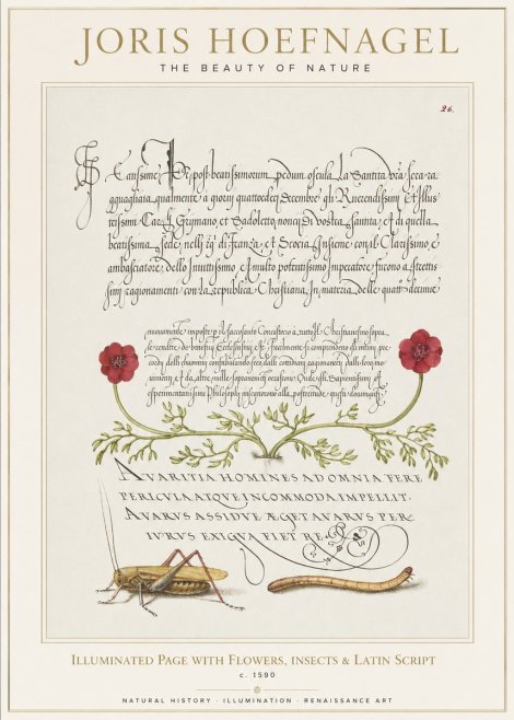 Joris Hoefnagel Illuminated Page with Flowers, Insects & Latin Script No1 - Plakat