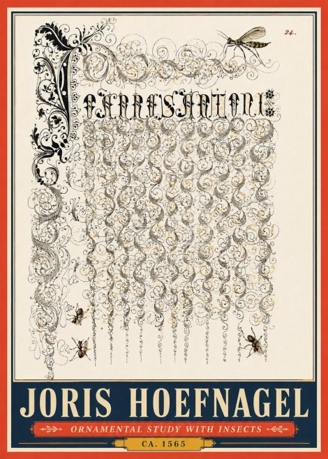 Joris Hoefnagel Ornamental Study with Insects No5 - Plakat