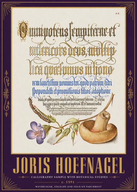 Joris Hoefnagel From a Series of Calligraphy Samples No5 - Plakat