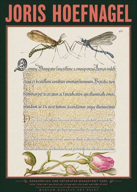 Joris Hoefnagel Dragonflies and Decorated Manuscript Page No3 - Plakat