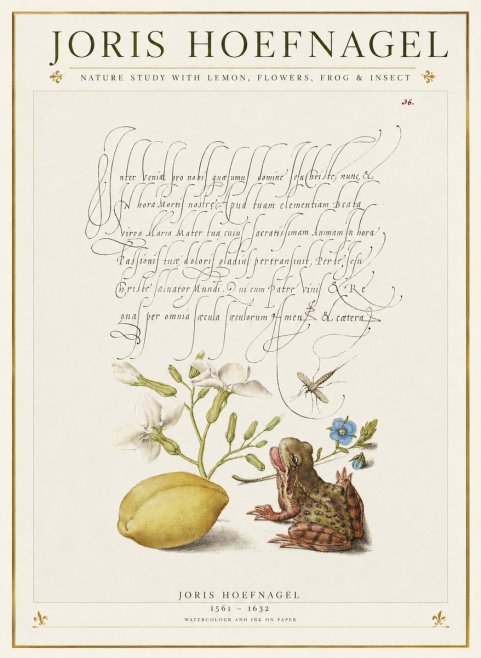 Joris Hoefnagel Nature Study with Lemon, Flowers, Frog & Insect No1 - Plakat