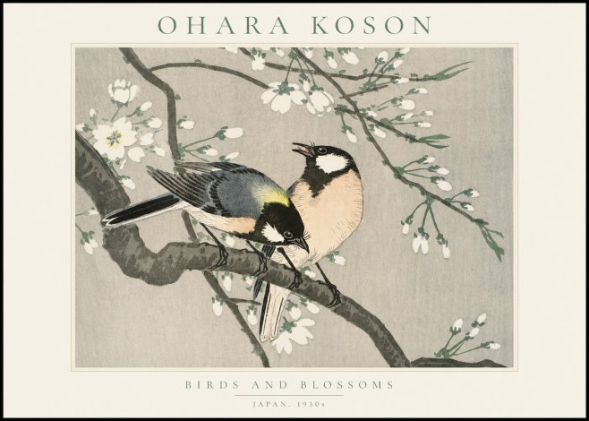 Ohara Koson Birds and Blossoms No1 - Plakat
