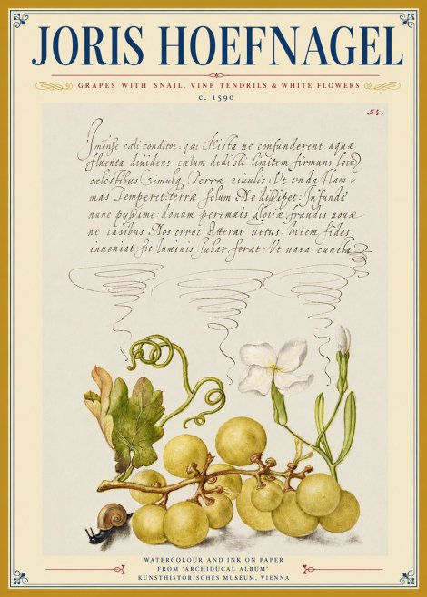 Joris Hoefnagel Grapes with Snail, Vine Tendrils & White Flowers No3 - Plakat