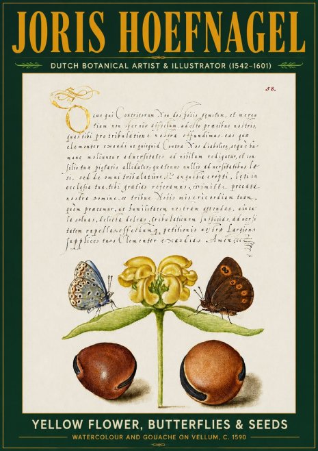 Joris Hoefnagel Yellow Flower, Butterflies & Seeds No5 - Plakat