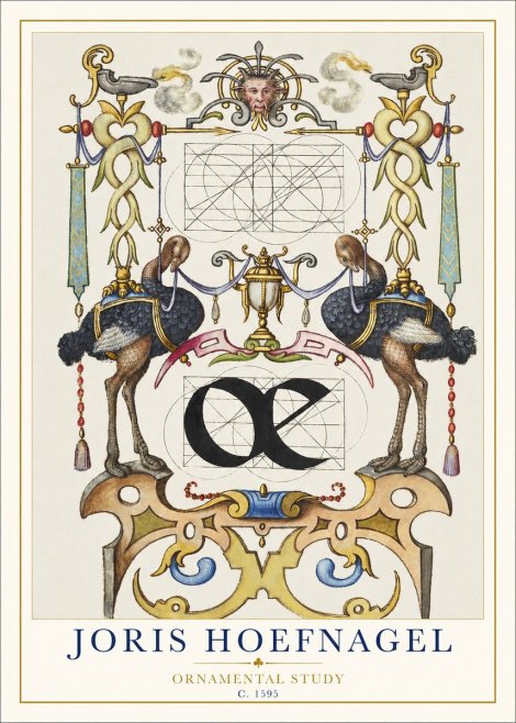 Joris Hoefnagel Ornamental Study I No1 - Plakat