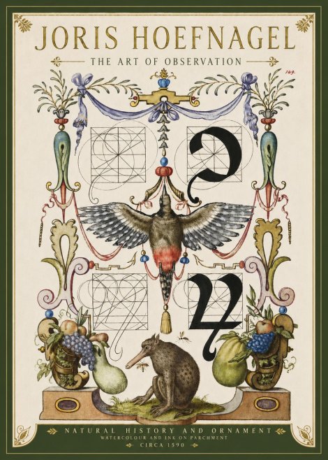 Joris Hoefnagel Study of Nature and Ornament No4 - Plakat