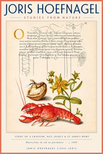 Joris Hoefnagel Studies from Nature No4 - Plakat