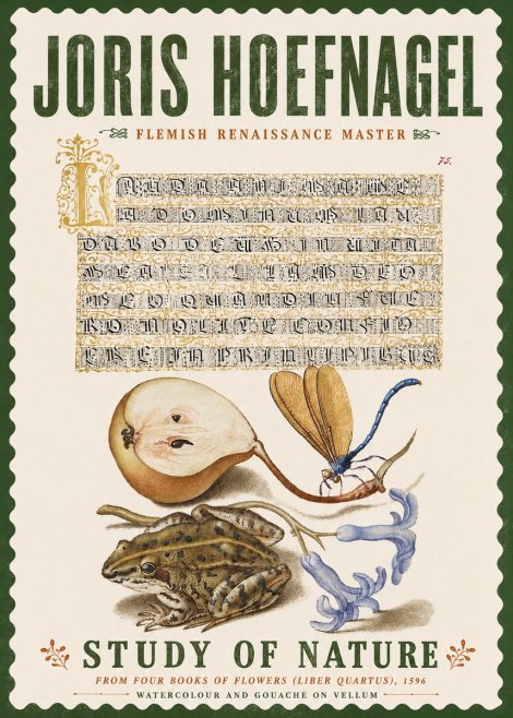 Joris Hoefnagel Study of Nature II No6 - Plakat