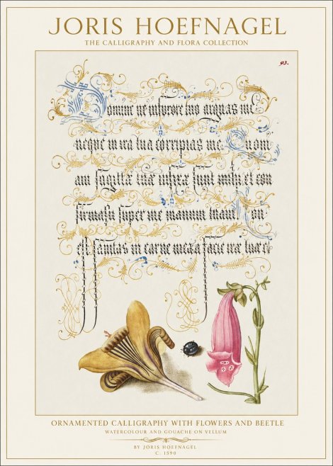 Joris Hoefnagel Ornamented Calligraphy with Flowers and Beetle No1 - Plakat