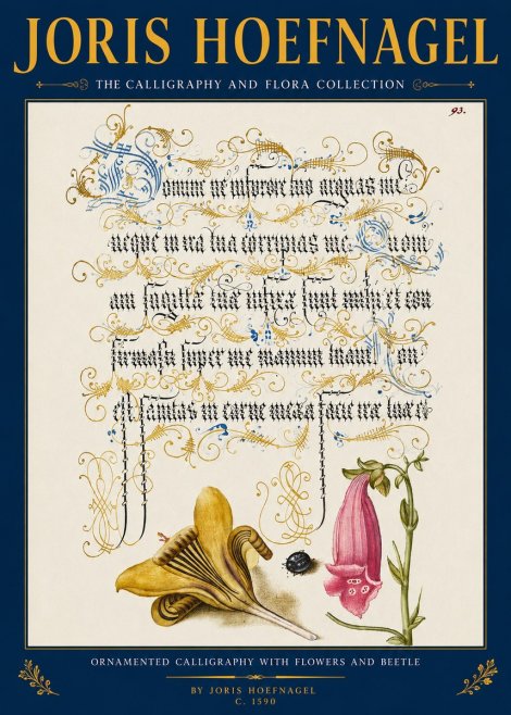 Joris Hoefnagel Ornamented Calligraphy with Flowers and Beetle No2 - Plakat