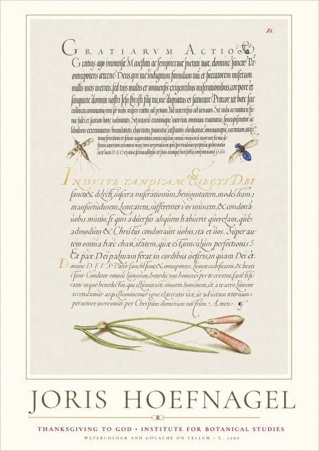 Joris Hoefnagel Thanksgiving to God • Institute for Botanical Studies No1 - Plakat