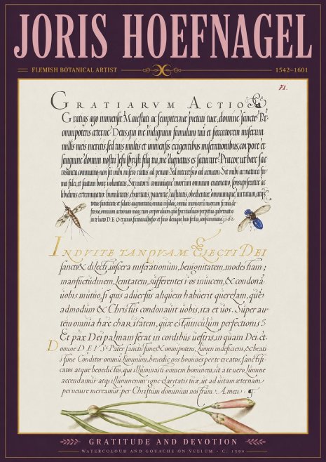 Joris Hoefnagel Thanksgiving to God • Institute for Botanical Studies No4 - Plakat