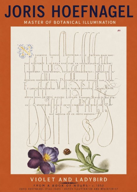 Joris Hoefnagel Violet and Ladybird No2 - Plakat