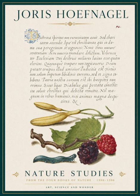Joris Hoefnagel Nature Studies No3 - Plakat