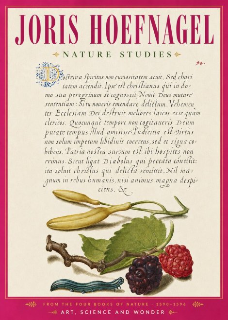 Joris Hoefnagel Nature Studies No6 - Plakat