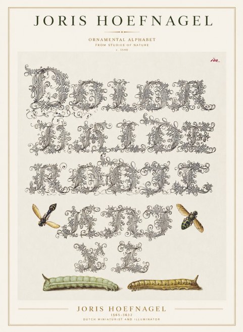 Joris Hoefnagel Ornamental Alphabet from Studies of Nature No1 - Plakat