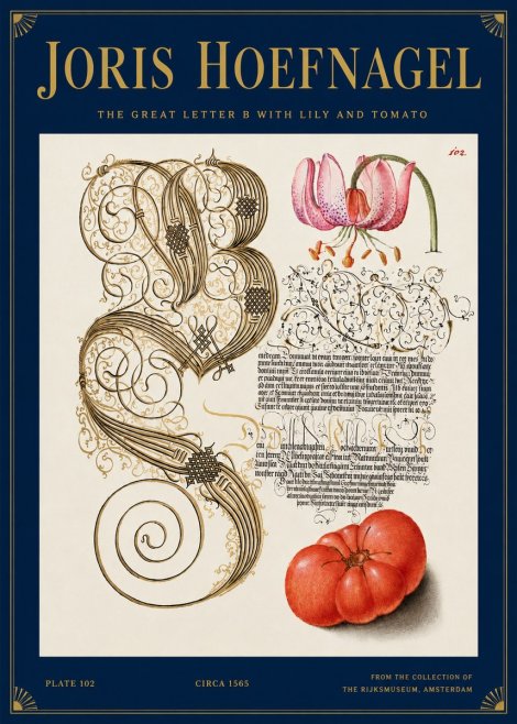 Joris Hoefnagel The Great Letter B with Lily and Tomato No3 - Plakat