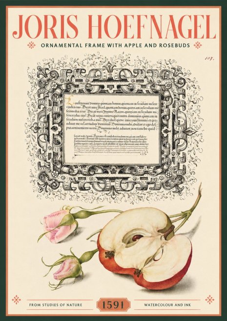 Joris Hoefnagel Illuminated Calligraphy and Botanical Study No3 - Plakat