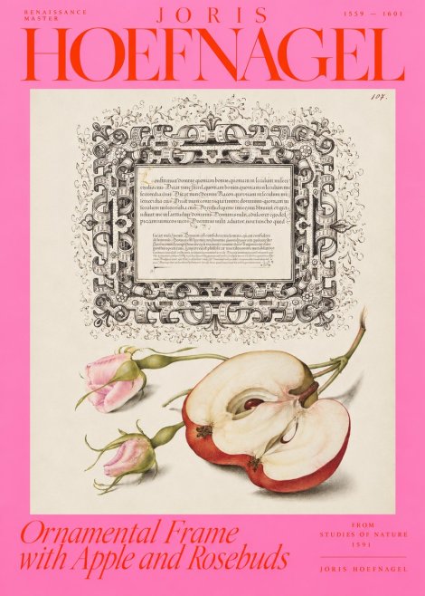 Joris Hoefnagel Illuminated Calligraphy and Botanical Study No4 - Plakat