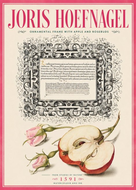 Joris Hoefnagel Illuminated Calligraphy and Botanical Study No6 - Plakat