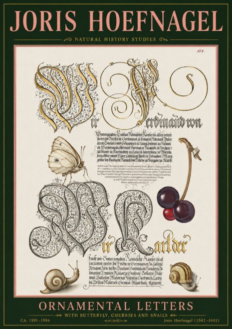 Joris Hoefnagel Ornamental Letters with Butterfly, Cherries and Snails No5 - Plakat