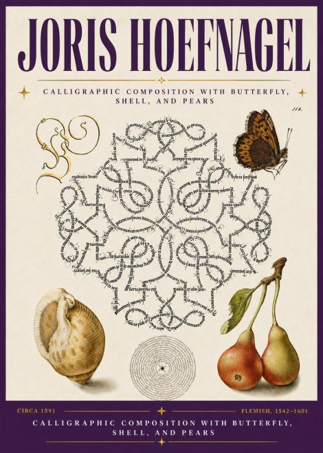 Joris Hoefnagel Calligraphic Composition with Butterfly, Shell, and Pears No6 - Plakat