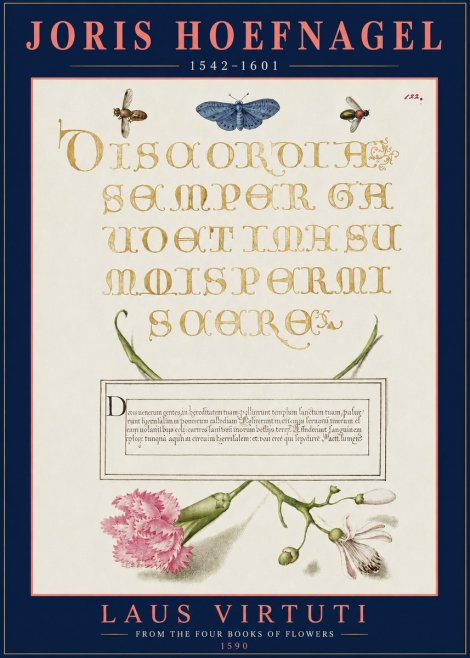 Joris Hoefnagel Laus Virtuti No3 - Plakat