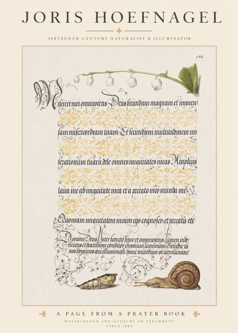Joris Hoefnagel Lily of the Valley, Snail and Caterpillar No6 - Plakat