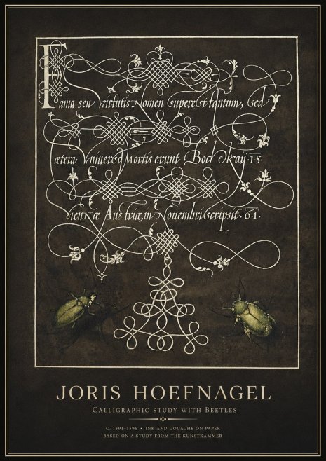 Joris Hoefnagel Calligraphic Study with Beetles No1 - Plakat