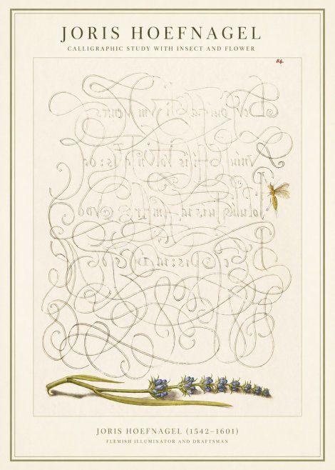 Joris Hoefnagel Calligraphic Study with Insect and Flower No1 - Plakat