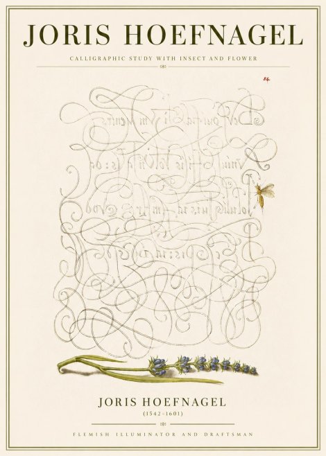 Joris Hoefnagel Calligraphic Study with Insect and Flower No3 - Plakat